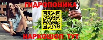 дмт Тверь
