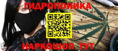 дмт Тверь