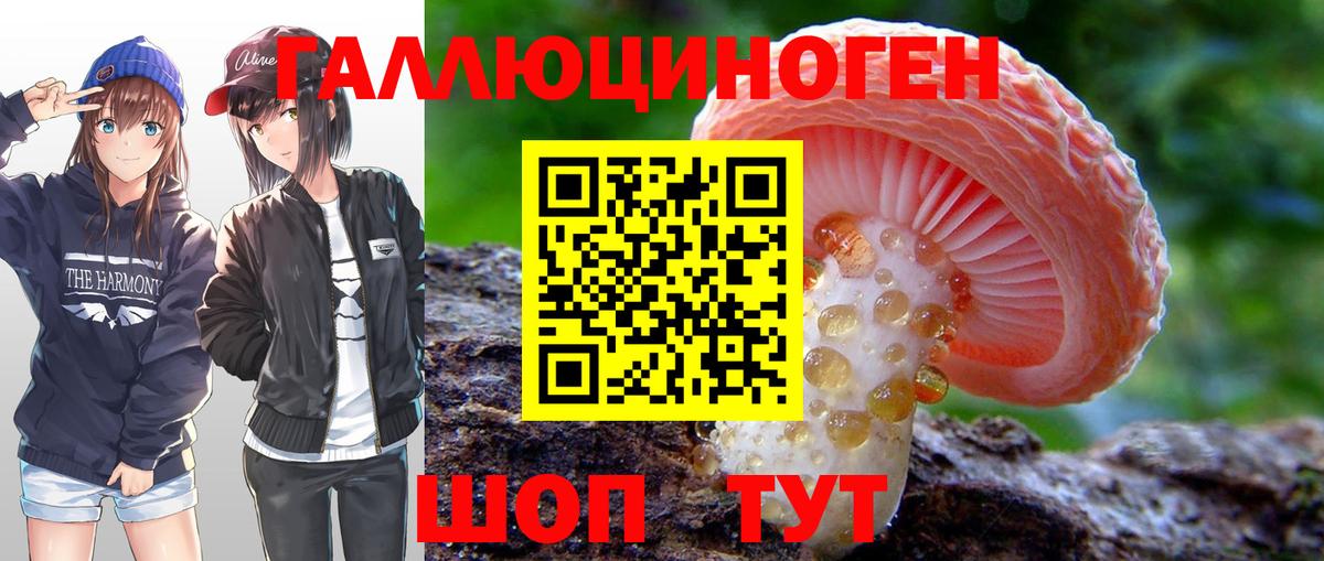 Волжский  Псилоцибиновые грибы GOLDEN TEACHER  Галлюциногенные грибы Psilocybe  Вход с VPN 
