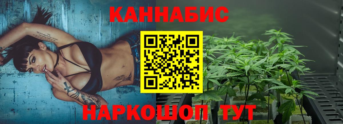 Каннабис гибрид Волжский